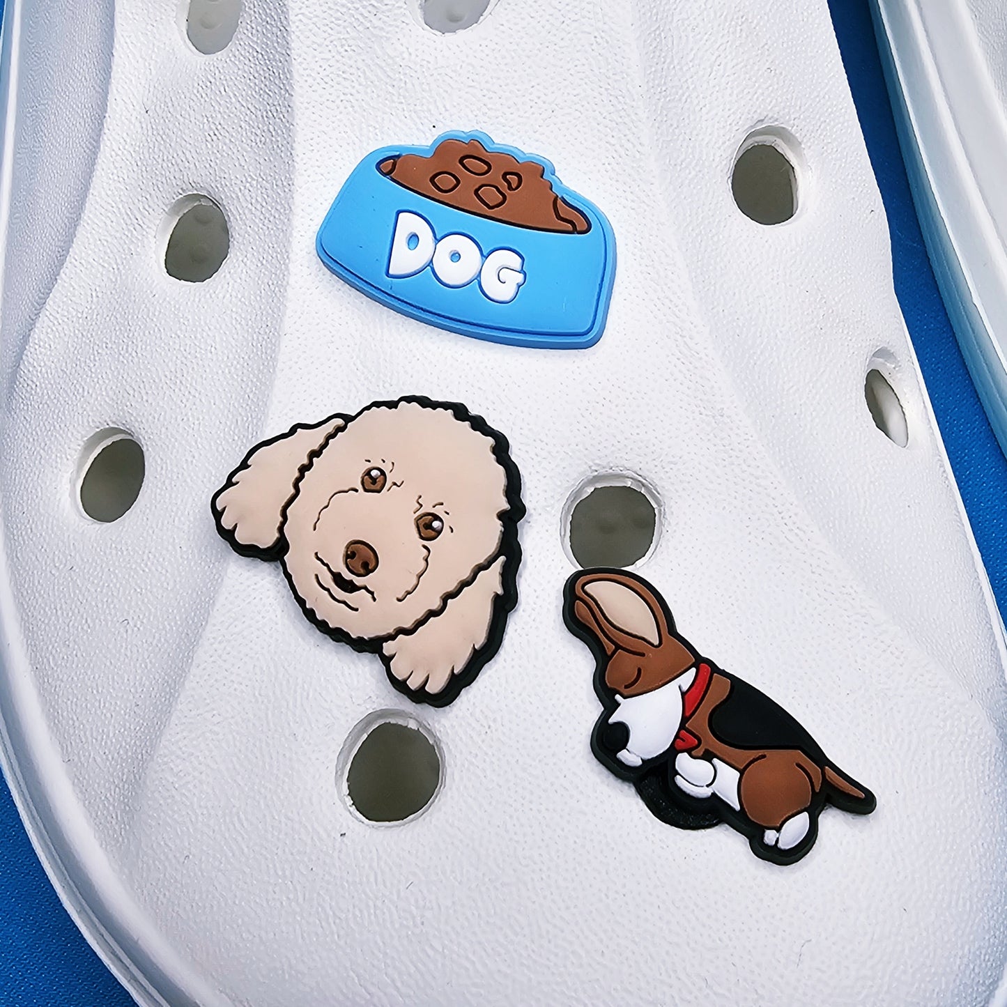 Dogs croc charms