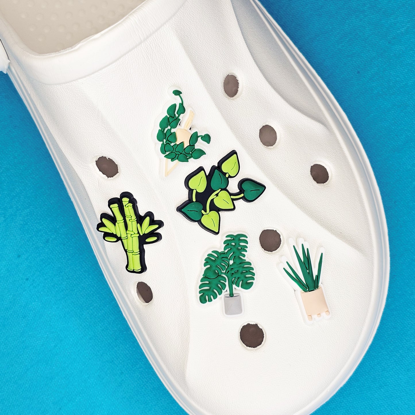 Home plants croc charms