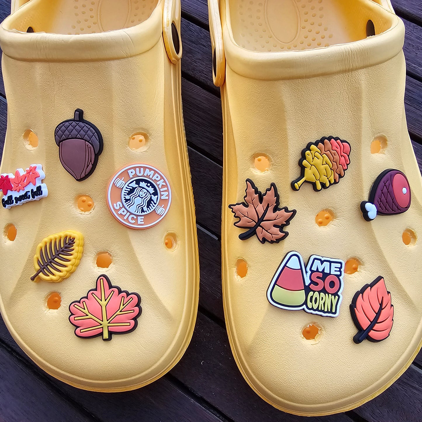 Autumn croc charms