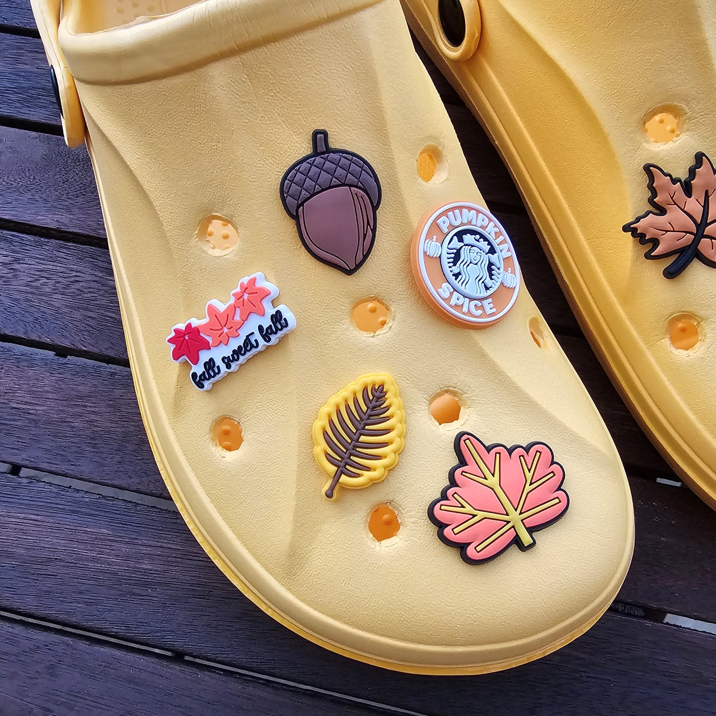 Autumn croc charms