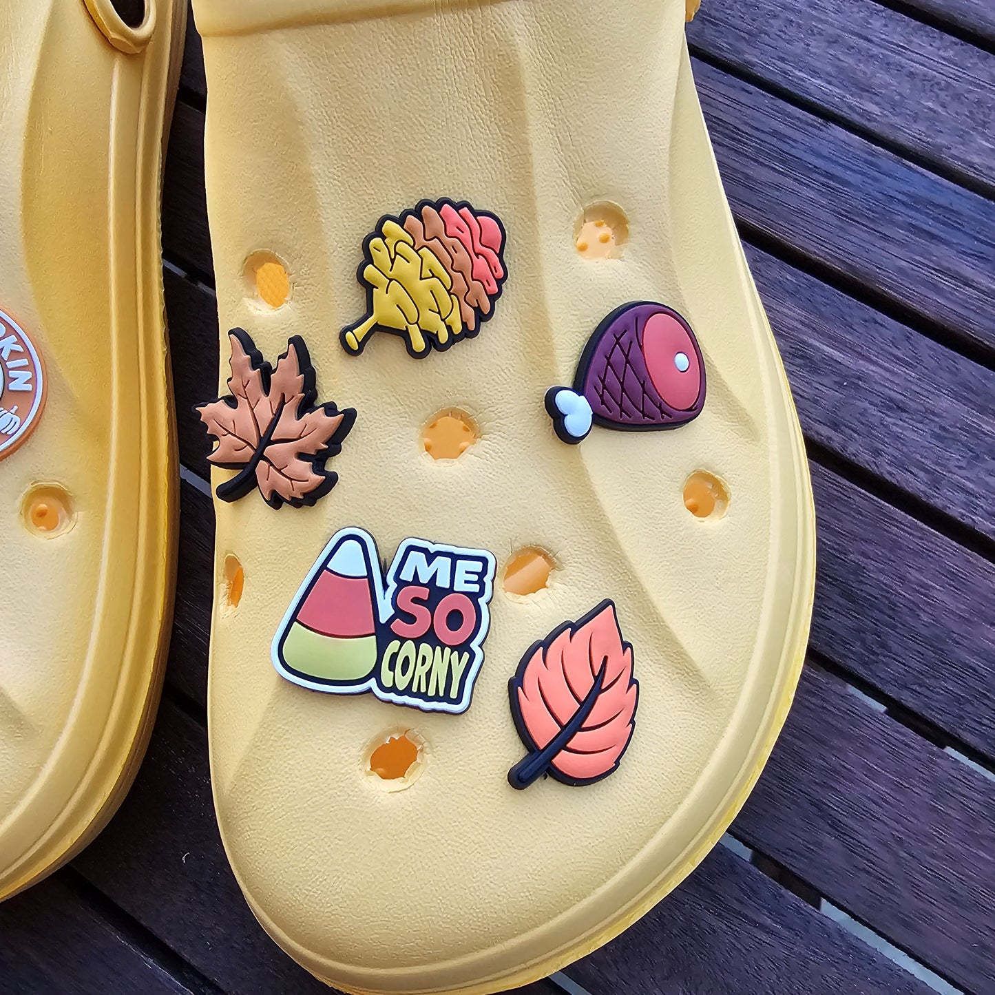 Autumn croc charms